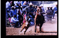Rodeo (009-005-472-0032)